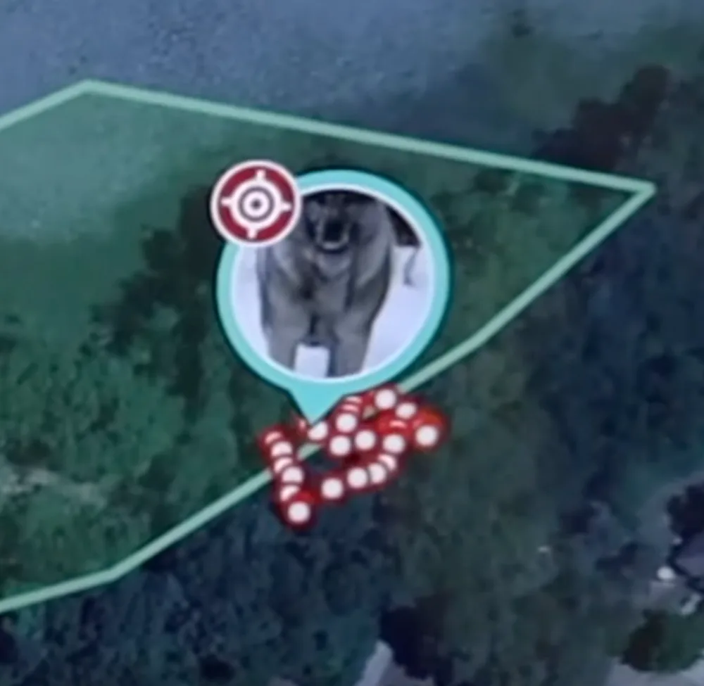 Satellite map view in the SpotOn app showing a drawn boundary with a dog location marker inside it