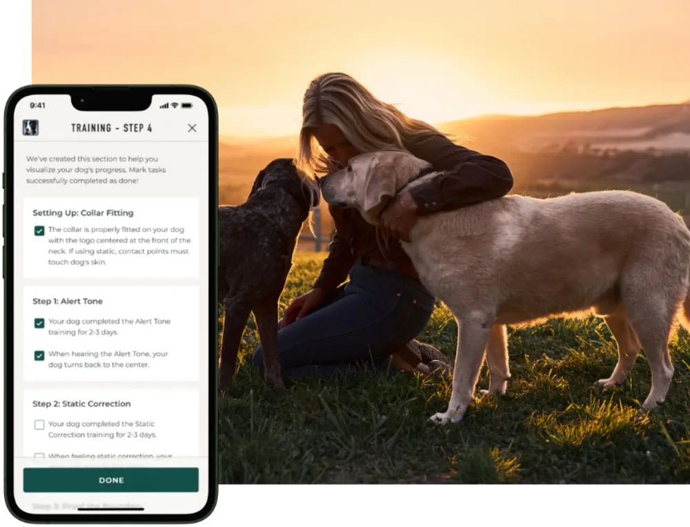 The SpotOn app open on a training step checklist, next to a photograph of a woman kneeling with two dogs at sunset