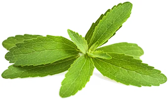 Stevia leaves