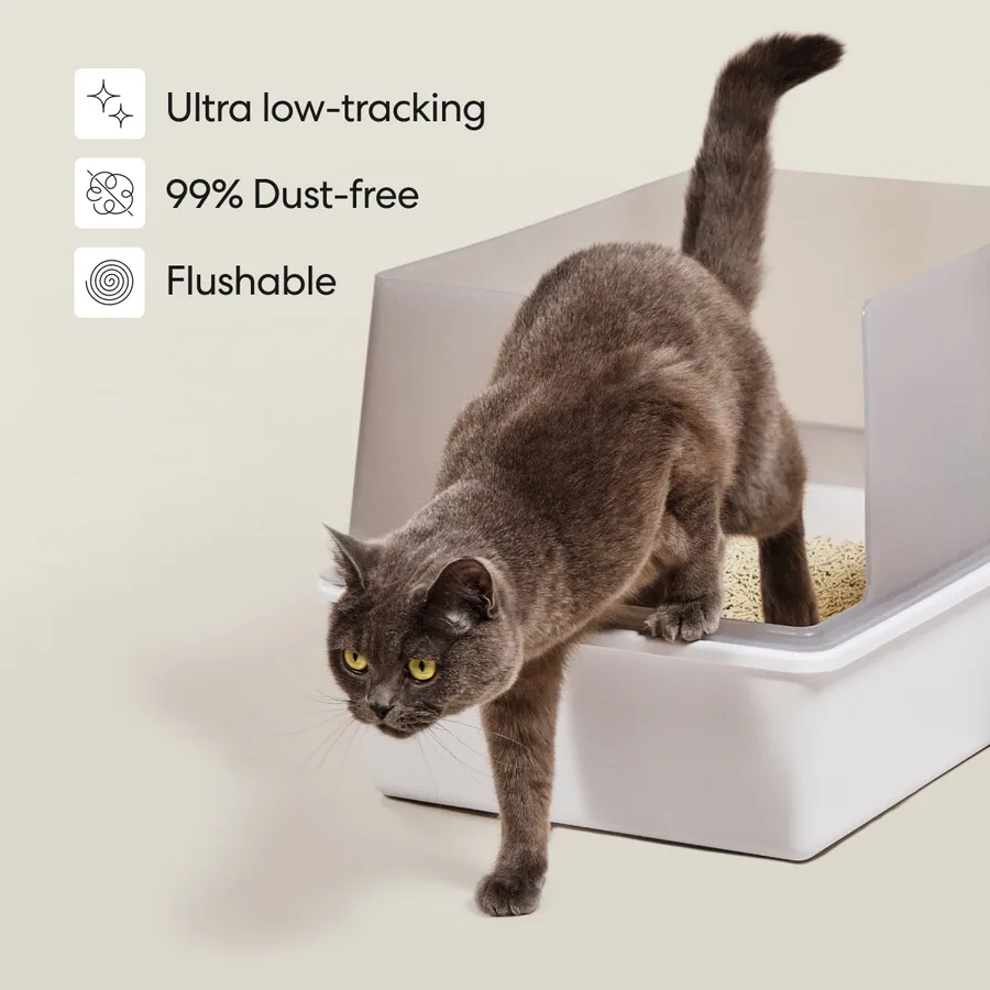 A grey cat stepping out of a white open litter box onto a clean floor