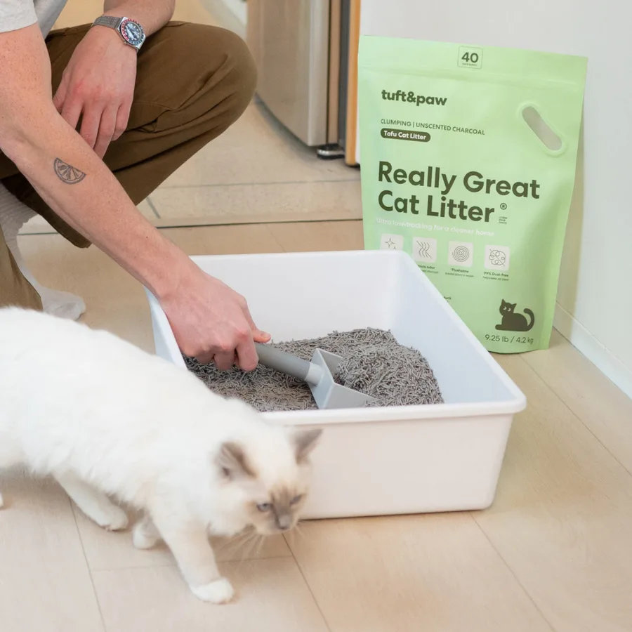 A person scooping a litter box beside a white cat, with a bag of Really Great Cat Litter nearby