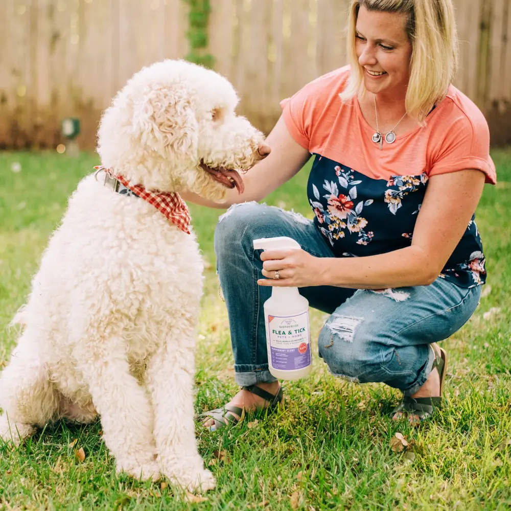Applying Wondercide Flea and Tick Spray to a dog outdoors
