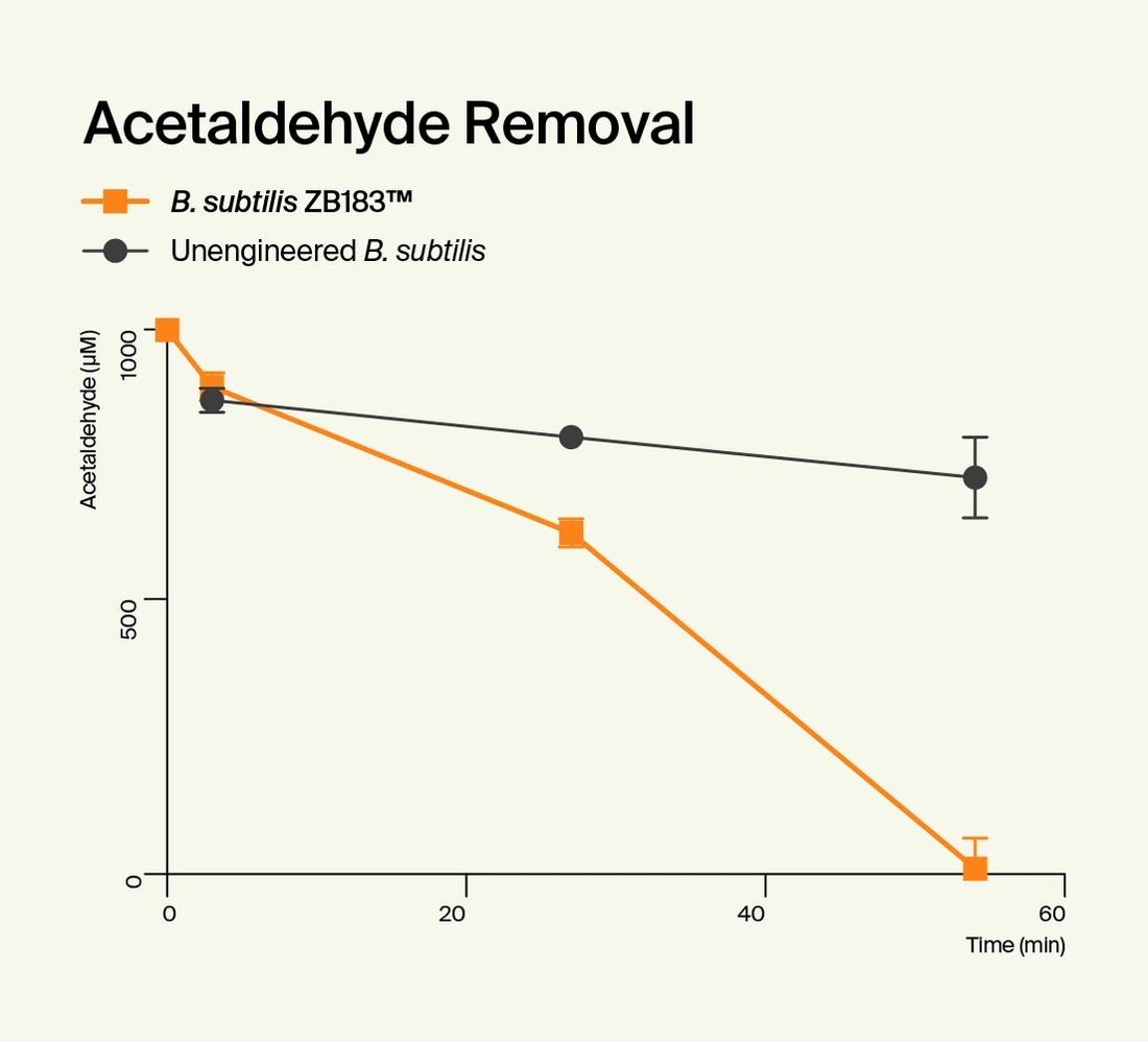 Line chart titled Acetaldehyde Removal comparing Bacillus subtilis ZB183 against unengineered Bacillus subtilis over 60 minutes